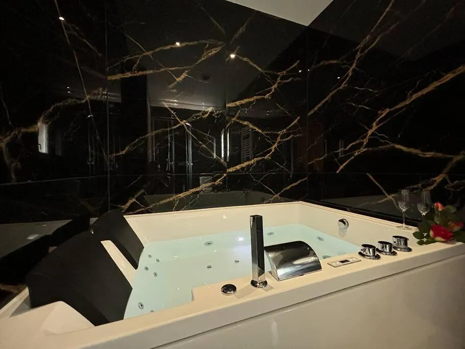 Prestige Jacuzzi & Clim, Parking - Roanne Centre-Ville Lägenhet