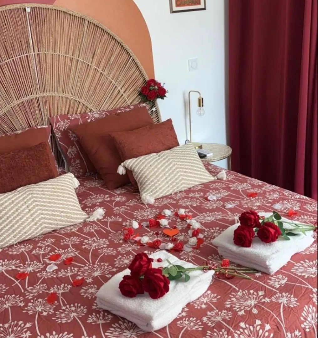 Apartment Roanne - Studio Love
