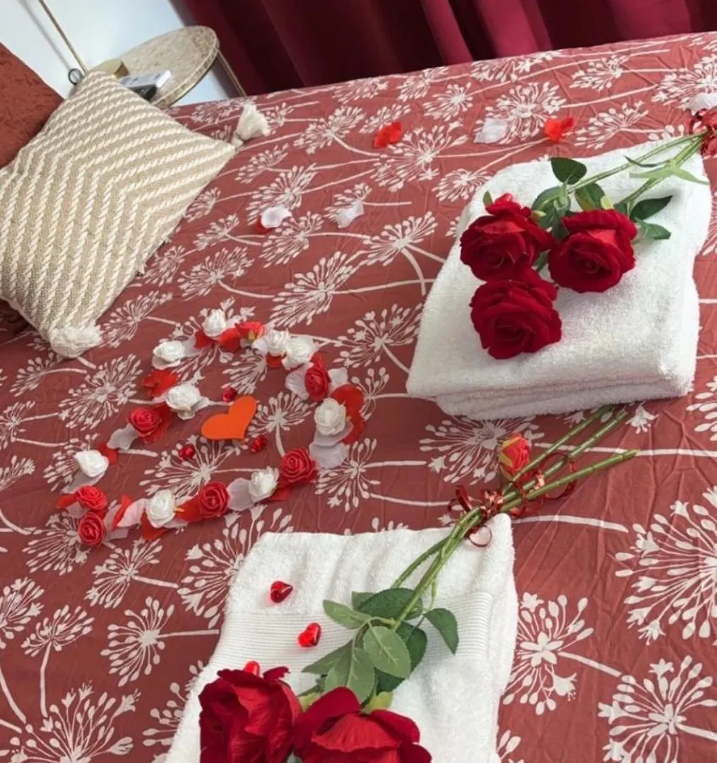 Roanne - Studio Love France